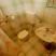 Apartmani Dragicevic Stari Grad,Budva, Apartman 2, privatni smeštaj u mestu Budva, Crna Gora